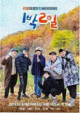 用户 音轨收藏家 的头像